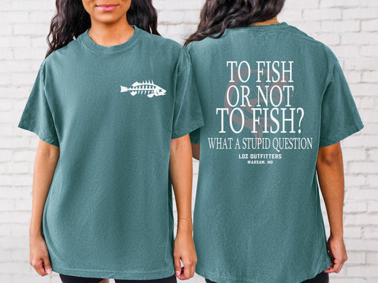 To Fish or Not To Fish - thats a stupid question